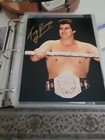 Vintage Tony Garea WWF WWE Signed Autograph 8" X 10 Photo Pro Wrestling    WWWF. — photo 2