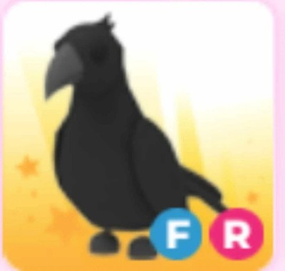 FR Crow | NFR | Adopt Now