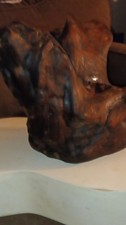 OOAK Natural Wood Root Burl Sculpture  Driftwood Decor Rustic Statement Piece