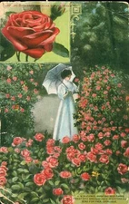 c1910 Buckbee Seed Warehouse Rockford Forest City Victorian Trade Card Roses USA