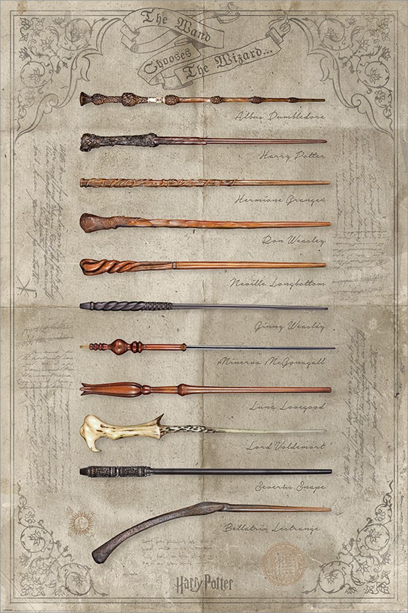 Laminated Harry Potter The Wand Chooses The Wizard Maxi Poster