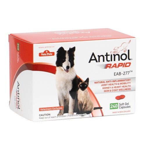 Antinol Rapid Gelenkergänzung für Hunde & Katzen 240 Kapseln - Unterstützung ...