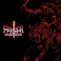 Marduk - Strigzscara Warwolf (Live 1993) Cd