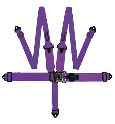 Nascar Renngurt 5-Punkt 3'' bis 2'' FHR Racing Sicherheitsgurtschnalle F2 SFI lila