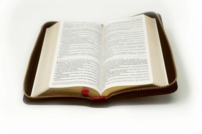 Die Bibel | Einheitsübersetzung | Österreichs Bischöfe Deutschlands | Buch