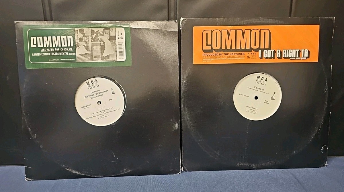 Common - Like Water For Chocolate Instrumental 2LP VINYL RECORD