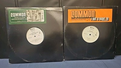 Common - Like Water For Chocolate Instrumental 2LP VINYL RECORD