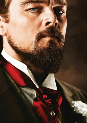 DJANGO LEONARDO DICAPRIO MOVIE ART Wall Print Poster 20x30