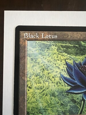 大判カード Black Lotus 6x9 1996 scrye 1枚 MTG BLACK LOTUS OVERSIZED 6x9 1996 Scrye #15 MTG Promo Card NM