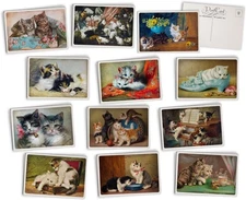Antique Cat Postcards - 24 Vintage - 12 Assorted Multicolored 