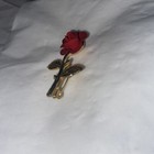 Bild 9 von 11