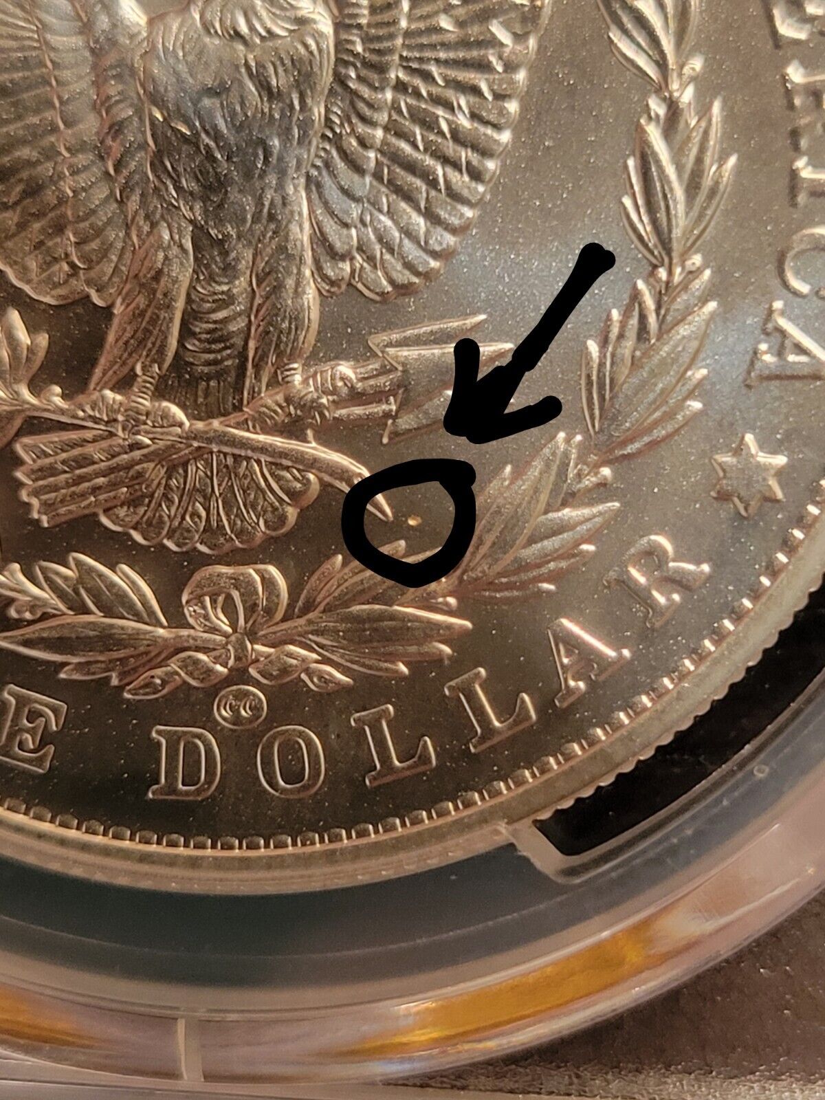Picture 5 of 5