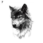 Bild 56 von 80