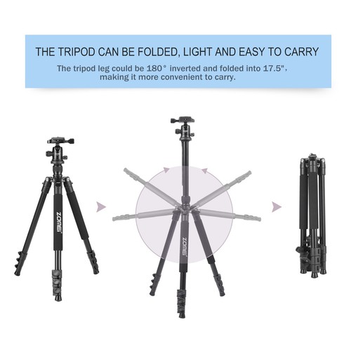 ZOMEI Q555 Portable Aluminium Travel Tripod&BallHead for Canon Nikon DSLR Camera - Picture 8 of 8