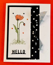 4 Stampin Up! Hello Painted POPPIES Kit Greeting Cards Felt Dots  Ribbon