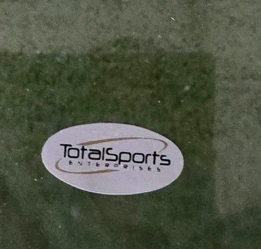 Foto 16x20 firmada por Antonio Brown Foto 3 de 3