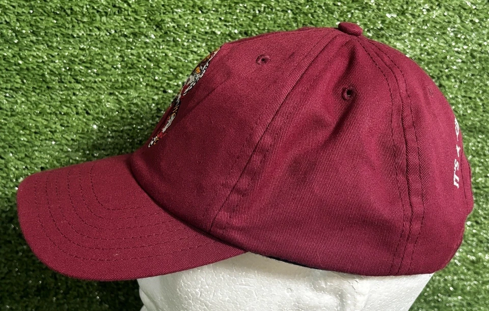 Gorra de Colección Años 90 Baloncesto Dunk Frog "It's A Jungle Out There" SnapBack Foto 3 de 4