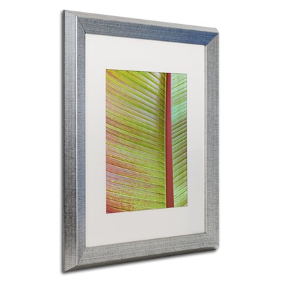 ALI1822-S1620MF Leaf Texture VI by Cora Niele, White Matte