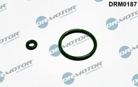 1X Dr.Motor Automotive DRM0187 Dichtring DüSenhalter FüR Volvo
