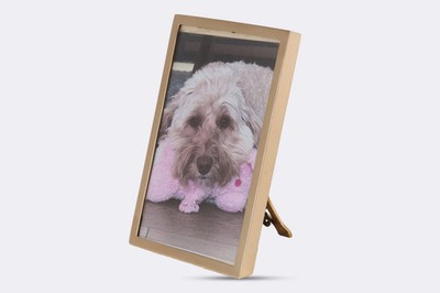 Tiffany & Co. Vintage 18k Yellow Gold Photo Frame (70.00g.) | eBay