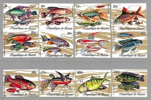 Guinea #570-581, MNH -1971- Tropical Fish - Complete set - CV=13.15