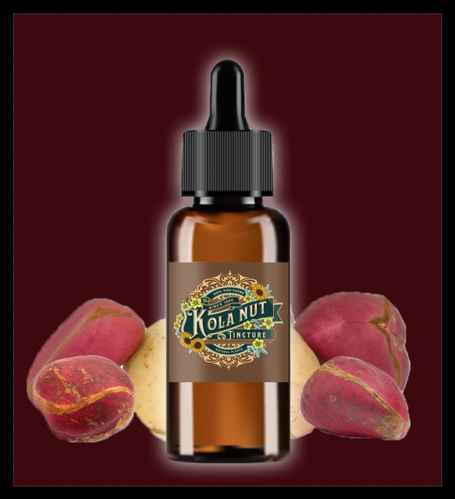 Kola Nut Extract (Cola Acuminate) Kola Nut Tincture Liquid ENERGY Free Ship USA