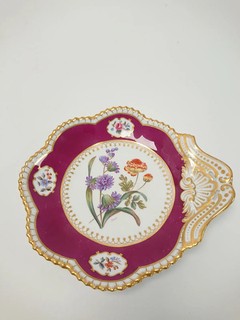Antique Spode Copeland A Ball Signed Botanical Cabinet Plate T Goode Rare