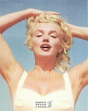 Marilyn Monroe Postcard of Sam Shaw Photo by Classico SF #220-174, 8x10