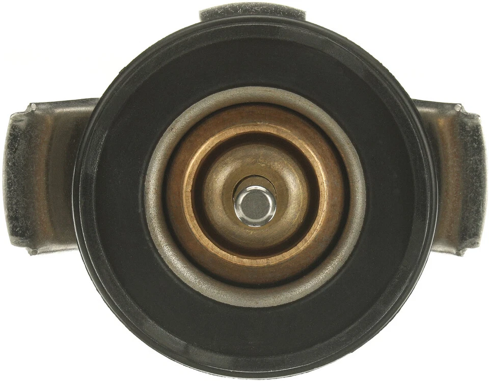 Termostato de refrigerante del motor para Ford F-250 Super Duty 2008-2010, F-350 Super Duty, Foto 3 de 4