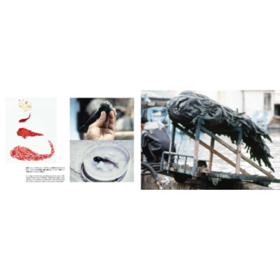 Toho Special Effects Official Visual Book Vol.14 Hedorah Godzilla