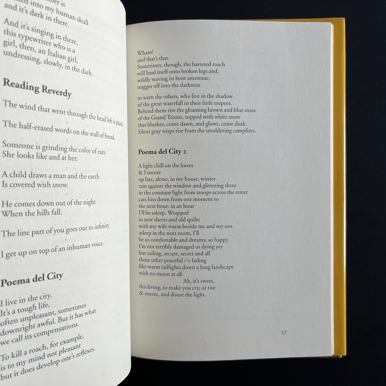 New and Selected Poems by Ron Padgett 1995 First Edition 1st HC Joe Brainard DJ