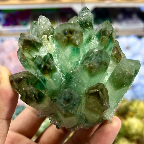 388G New Find Green Phantom Quarzo Cristallo Grappolo Esemplare Minerale