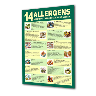 14 Allergene Food Standards Agency Druck illustriertes Schild Gesundheit & Sicherheit Poster