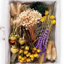 130Pcs DIY Mixed Natural Dried Flower Set, Preserved Flowers Bulk with Brown