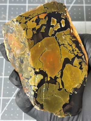 Beautiful Whiskey Creek Jasper Face Polished Specimen Brecciated Idaho