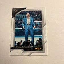 2022 Panini WWE NXT - #100 Triple H