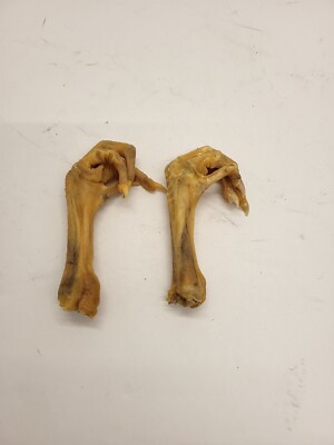 Four Genuine Chicken Feet Curiosity Craft Specimens