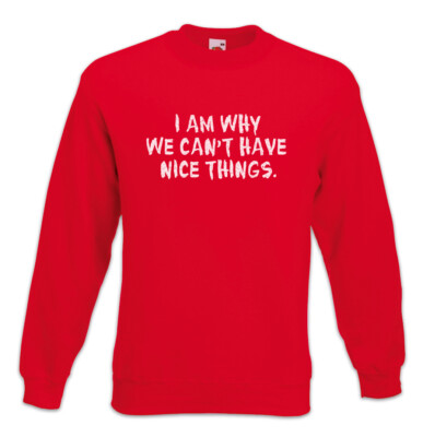 I Am Why We Can't Have Nice Things Sweatshirt Pullover Kids Boys Family Fun