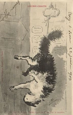 PC CATS, THEIR CATS, FALLING CAT, Vintage Postcard (b47127)