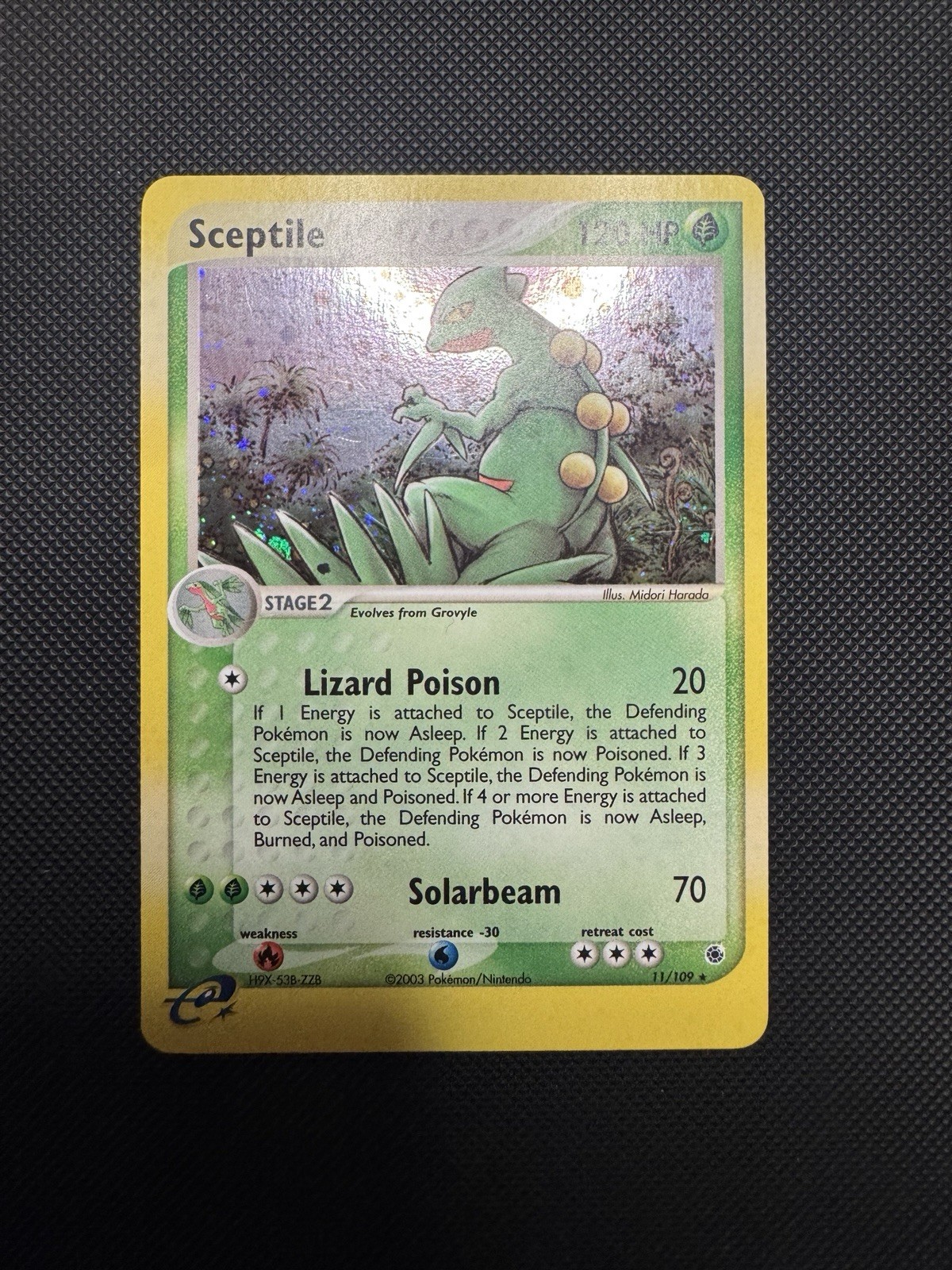 Pokemon TCG Sceptile E-Reader Holo Ruby and Sapphire 11/109 NM