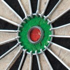 Picture 5 of 14