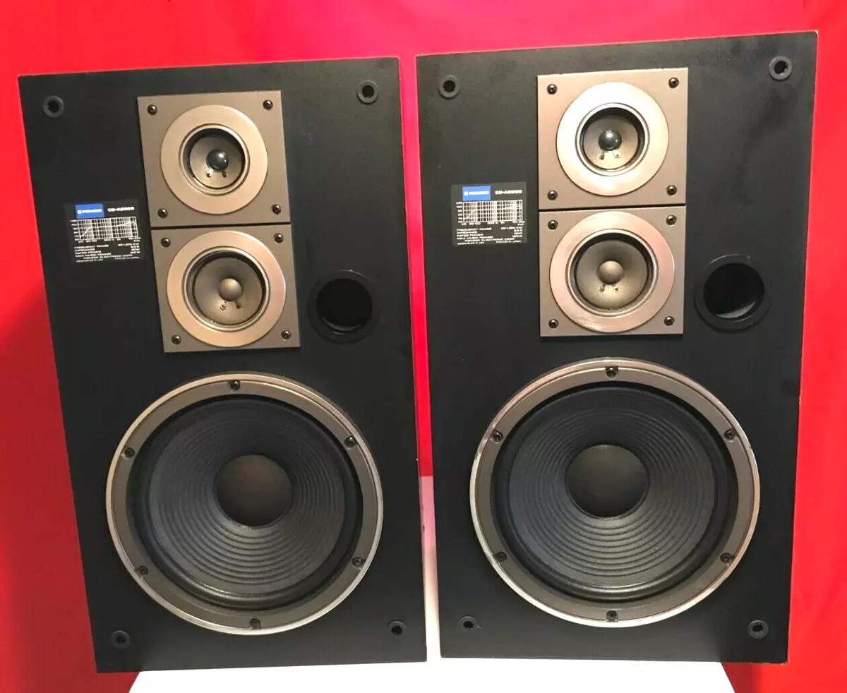 Ebay pioneer store speakers
