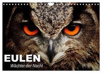 Calendar 2027 · US Version · Owls. Guardians Of The Night (Wall Calendar 2027 12