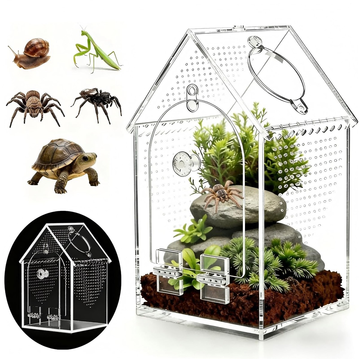 Jumping Spider Enclosure Kit PreAssembled 8x5x5 Inch Acrylic