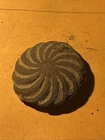 Dug Civil War 💥 🇺🇸 💣 Colonial Horse Rosette