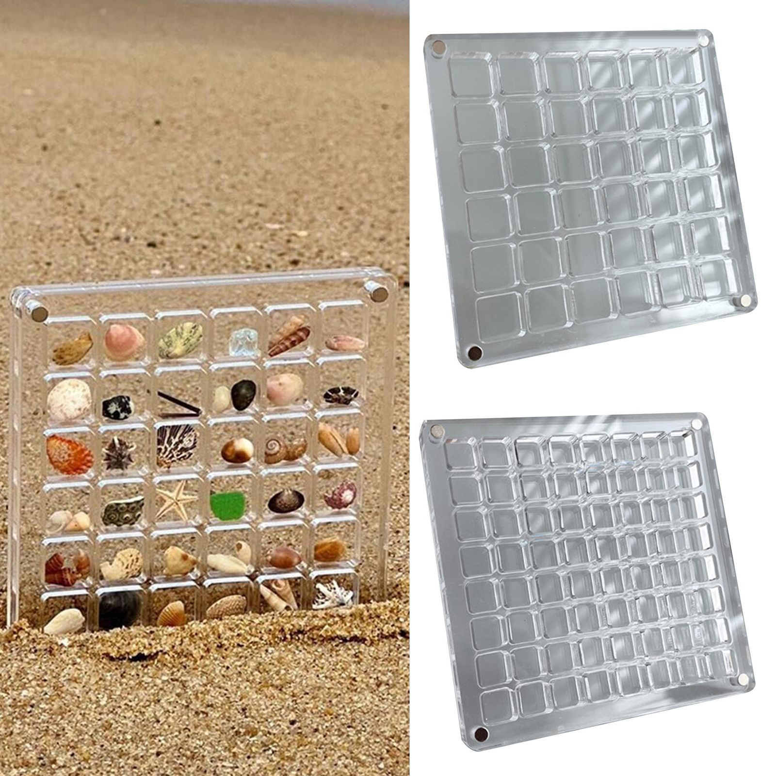 ABS Magnetic Seashell Display Box Case Decorative Craft Storage Compartment
