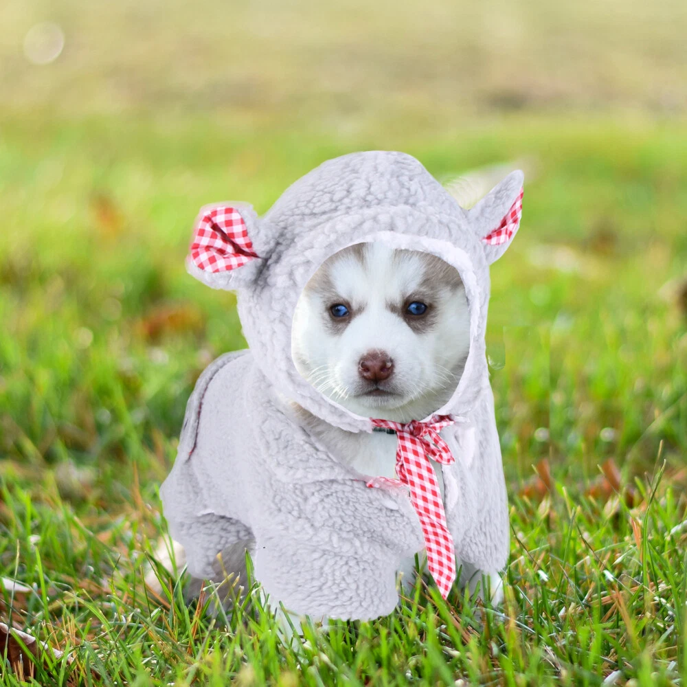 VETEMENTS Maglione cane vestito cane felpa con cappuccio Natale cane abbigliamento invernale
