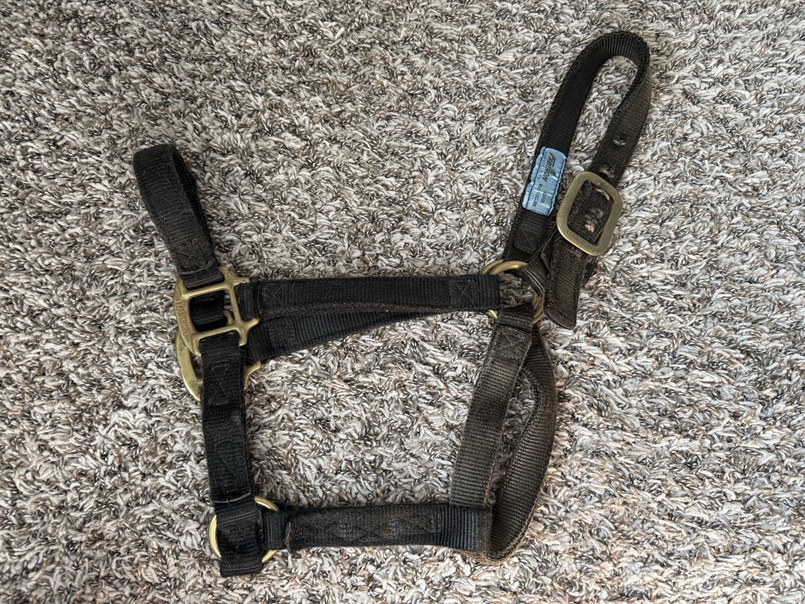 Full Sized Black Nylon Fabtron Halter Horse