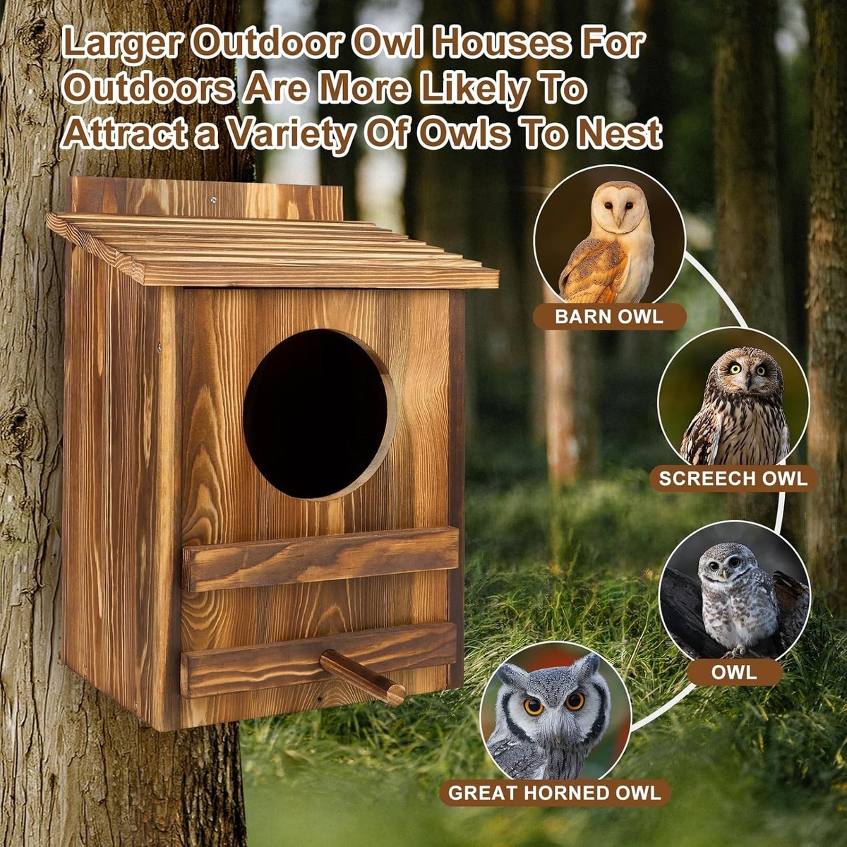 Large Cedar Owl House, Shake Shingled Roof, Nesting Box, Effective Rodent  Control, Salt River - Etsy, image size:1200x1200