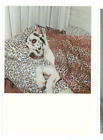 Dog-Great Dane-Lying In Bed With Covers-Rebel-1993-(Dog-73 *)